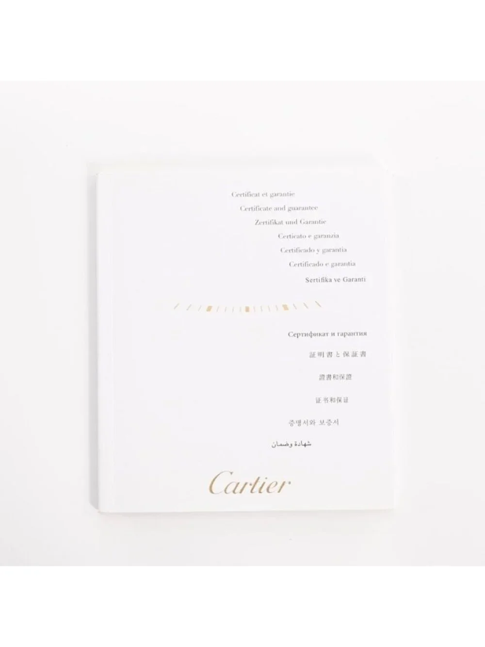 Cartier Watch Santos 100 Chronograph XL